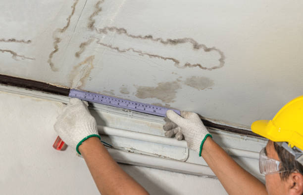 Reliable Mold Remediation contractor in Mesick, MI by Water Damage Irwin